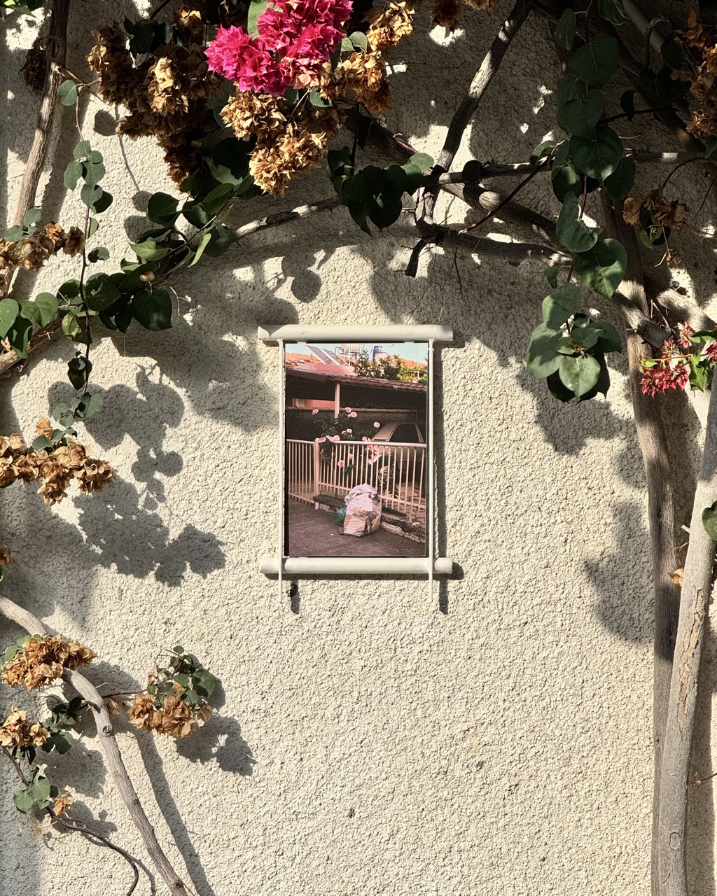 The Right to Home: Diaries of Limassol's Gentrification